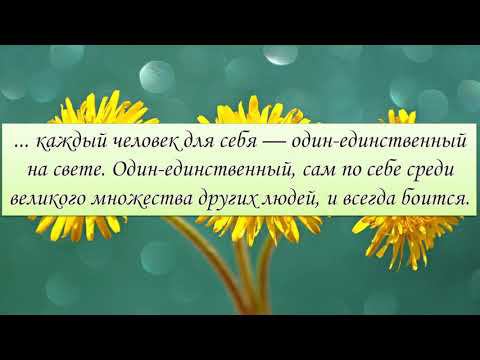 «Вино из одуванчиков» Рэй Бредбери - Рубрика "Цитатник" смотреть онлайн