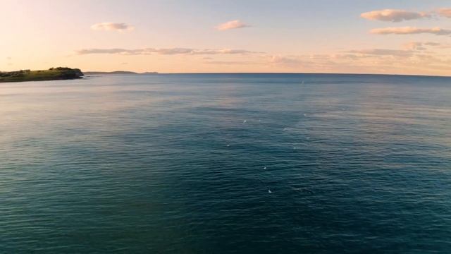 Песни Китов. Музыка Океана. Звуки волн. Whale Songs. Music of the Ocean. Sounds of waves. смотреть онлайн