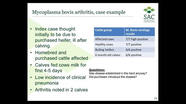 Webinar: Mycoplasma bovis смотреть онлайн