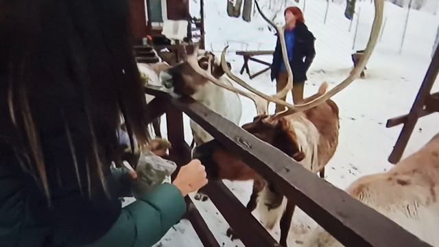 Жить и радоваться смотреть онлайн