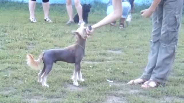 бегаем с Мультяшкой смотреть онлайн