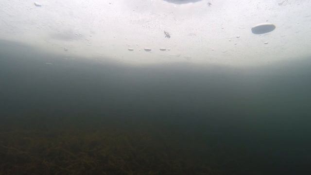 летние воблеры в лунке смотреть онлайн