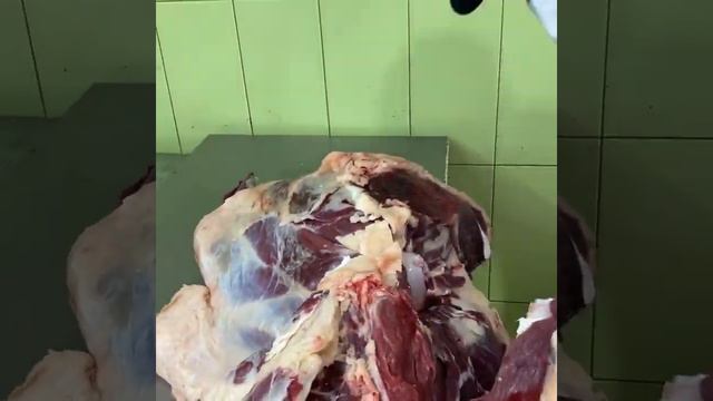 Скотный двор. КФХ. Оптово-розничная продажа мяса по всему Дагестану смотреть онлайн