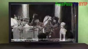 Белка и Стрелка: Озорная армейка RYTP