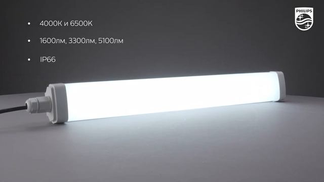 Пылевлагозащищенный светильник WT066 ассортимента Tradeline смотреть онлайн