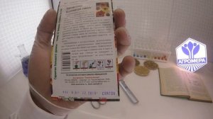 Хризантема Килеватая Смесь. Семена Алтая