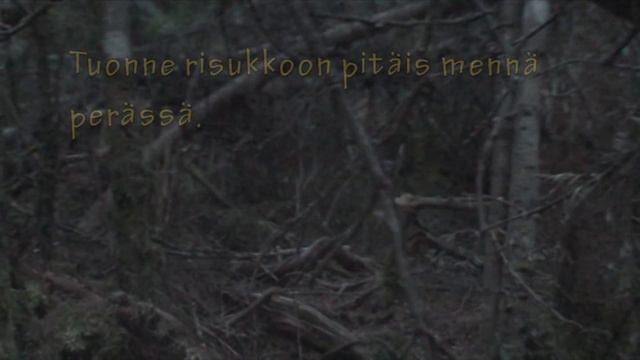 Mustakarhua jousella смотреть онлайн