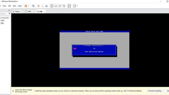 Check Point R81 GAIA OS #Error During Installation of OS #R81.10 GAIA смотреть онлайн