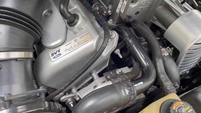 2004 Ford Mustang SVT Cobra Walkaround & Start up смотреть онлайн