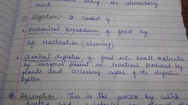 The Digestive System, Introduction (Alimentary Canal, Accessory Organ),Part-1,Gnm,B.sc(1st) смотреть онлайн