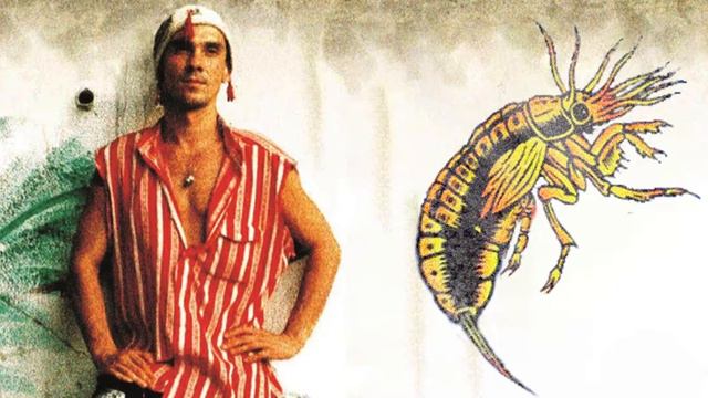 Pretty Bongo for a White Bong - Manu Chao x The Offspring (Mashup) смотреть онлайн