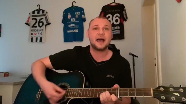 Helene Fischer - Ich will immer wieder dieses Fieber spürn (Dominik Haidinger Cover) смотреть онлайн