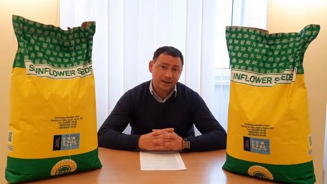 Семена подсолнечника ФЕНИКС Сумо под гранстар. Урожайный гибрид 42ц/га держит семь рас заразихи A-G смотреть онлайн