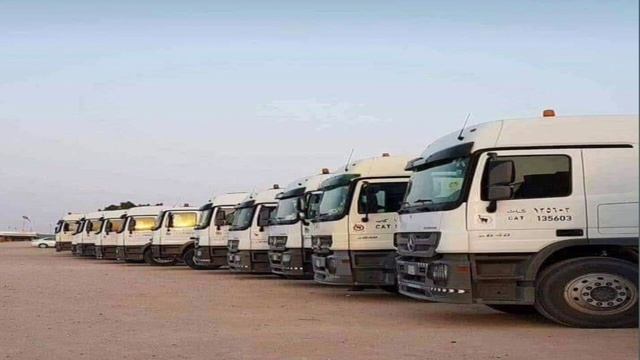 Saudi Arabia Cat Company | Cat Company Saudi Arabia Kaisa Hai | Cat Group Company Saudi Arab смотреть онлайн