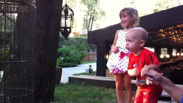 Внуки и попугай