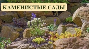 КАМЕНИСТЫЙ САД/АЛЬПИНАПИЙ/РОКАРИЙ/ТЕРРАСИРОВАНИЕ. Rocky H САД / АЛЬПИНАПИЙ:РОКАРИЙ.ТЕРРАСИРОВАНИЕ.
