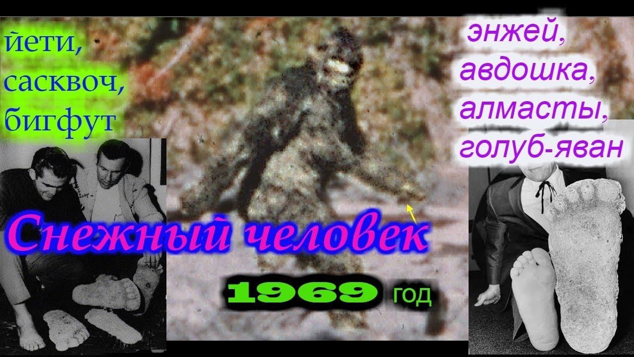 Снежный человек !!! США 1969 год , легендарное человекообразное существо!!! смотреть онлайн