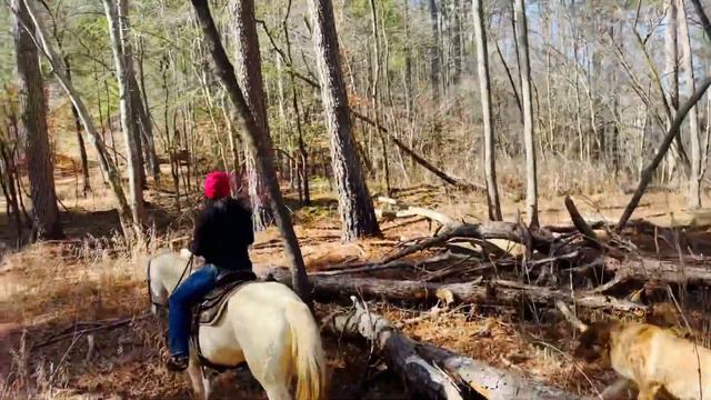 *Harmony* Trail Riding. смотреть онлайн