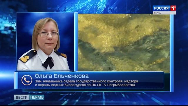 Нерест: сматывай удочки смотреть онлайн