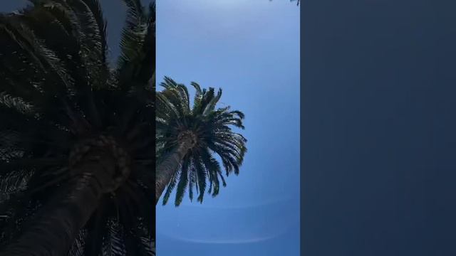 Самый цветочный парк в A Coruña, España. Подробнее в описании к видео👌 #живувиспании смотреть онлайн