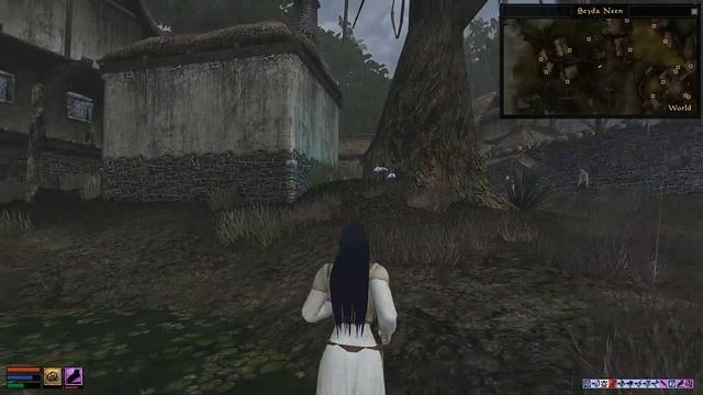 abot's let's play a huge Morrowind World смотреть онлайн