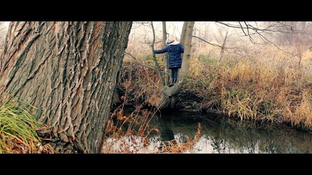 Ноябрь, Московская область, г. Павловский Посад смотреть онлайн