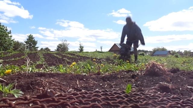 Культиватор "муравей" на базе бензопилы "дружба" смотреть онлайн