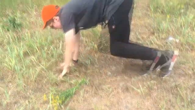 Короче говоря, нарвал цветы | feat. Олег Богун смотреть онлайн