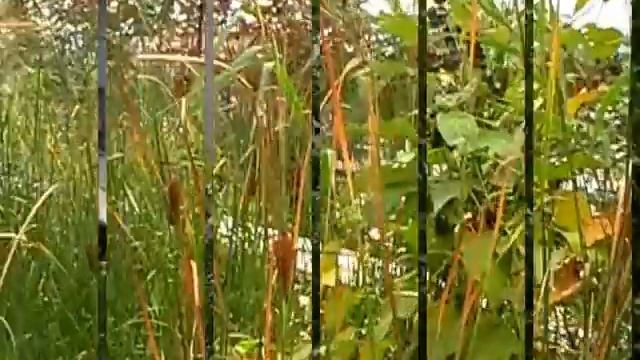 Хай-Лайн парк смотреть онлайн