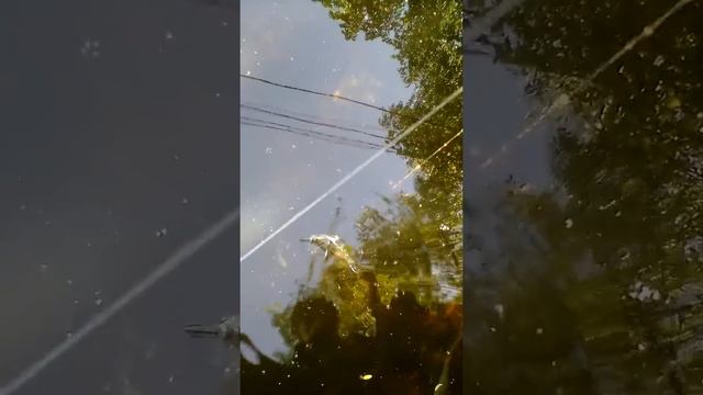 Рыбалка в Долгопрудном , проверка снасти спустя ночь . смотреть онлайн