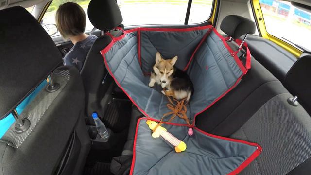 Timelapse - Лея и гамак смотреть онлайн