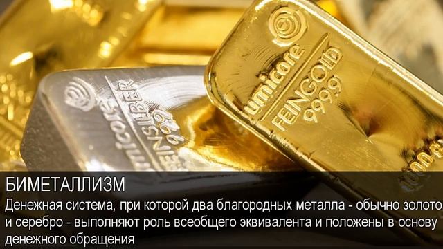 Биметаллизм. Толковый Видеословарь русского языка смотреть онлайн