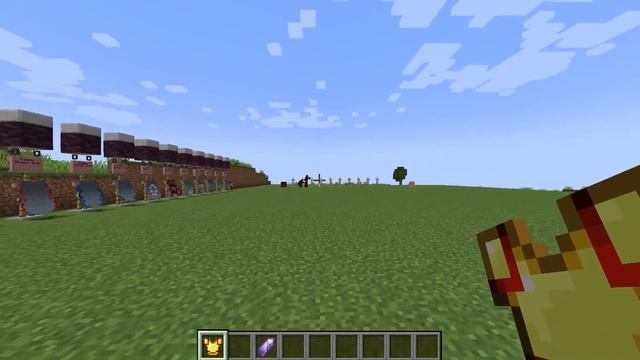 Elytra Armor Trims in Minecraft смотреть онлайн