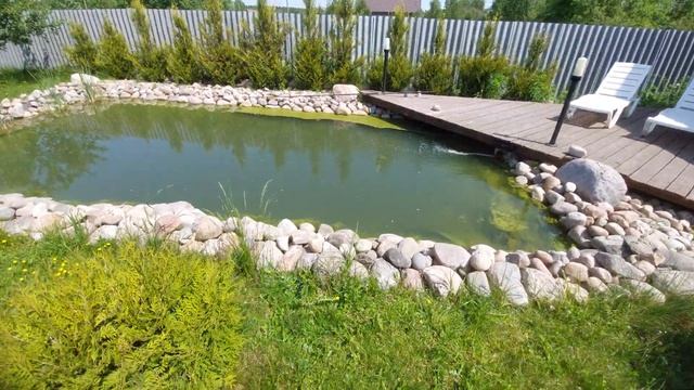 2 НЕДЕЛИ прошло растут ШАПКИ смотреть онлайн