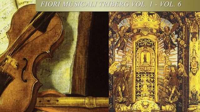 Non sa che sia dolore, BWV 209: Sinfonia смотреть онлайн