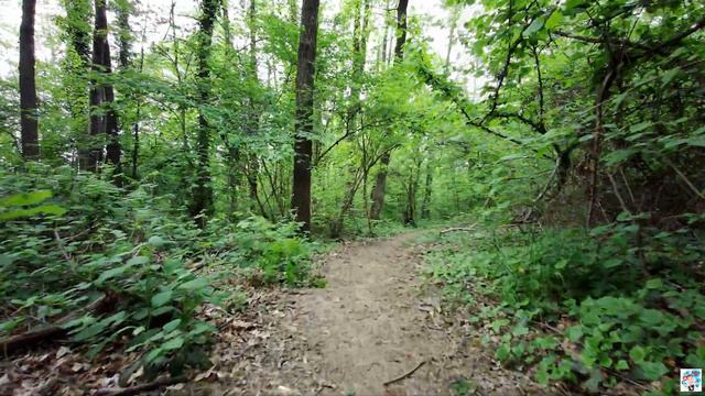 FIMI PALM FIRST TEST VIDEO... MOD FOLLOW 4K 30FPS смотреть онлайн