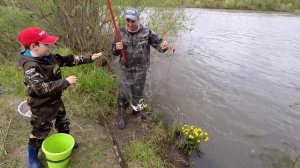 Рыбалка на паук! Как Легко Наловить Уклейку на "Паук-Хапуга" - для Засола !!!