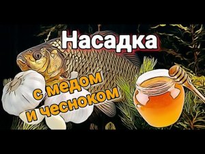 ЛУЧШАЯ насадка на фидер и удочку. Как приготовить макароны с медом и чесноком.