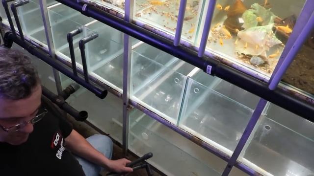 Fishroom Renovation смотреть онлайн