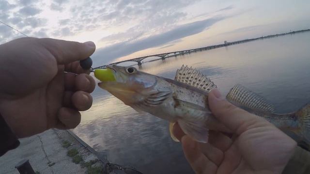 ЕЩЕ ОДИН СПОСОБ ПОЙМАТЬ ПАССИВНОГО СУДАКА. смотреть онлайн