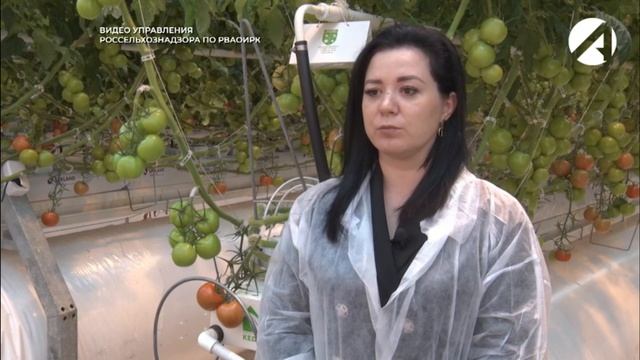 Россельхознадзор обследует подкарантинные объекты смотреть онлайн