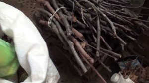 034 Топка печи брикетами с листьев ореха 1