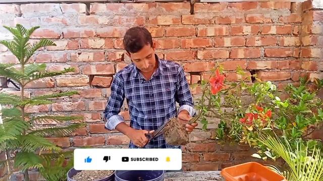 How to get more flower from java tree reporting?? смотреть онлайн