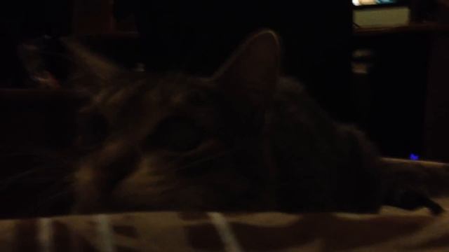 Спасай Соера! смотреть онлайн