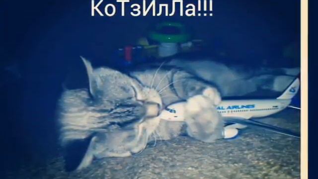 Милые коты 2 смотреть онлайн