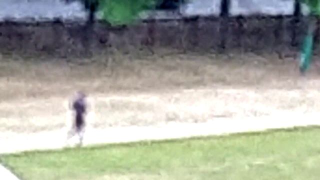 Суббота: 14 августа смотреть онлайн