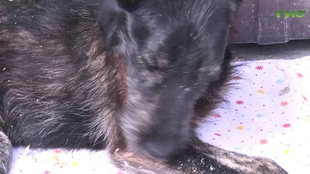 "Пережившие предательство"/"Зоопатруль" от 14.05.2024