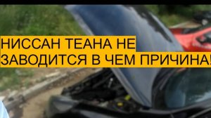 НИССАН ТИАНА НЕ ЗАВОДИТСЯ. В ЧЕМ ПРИЧИНА. РАЗБИРАЕМСЯ