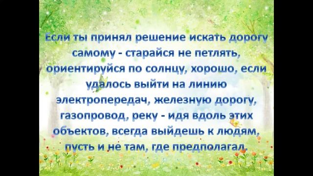 Познавательная программа "Безопасность на воде и в лесу" смотреть онлайн