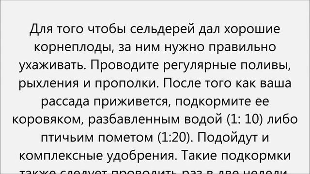 Как вырастить сельдерей смотреть онлайн